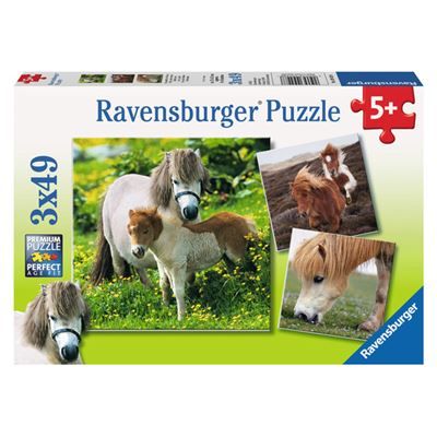 Spiel 6016.0